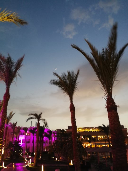 Außenansicht Pickalbatros Palace Resort
