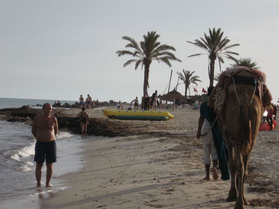 Strand Djerba Castille