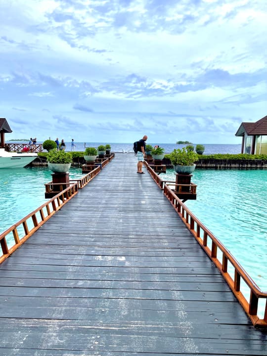 Lobby Ellaidhoo Maldives by Cinnamon
