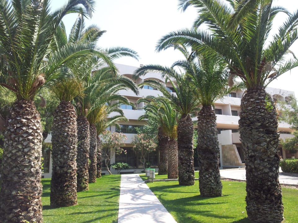 Weg zum Strand Ialyssos Bay