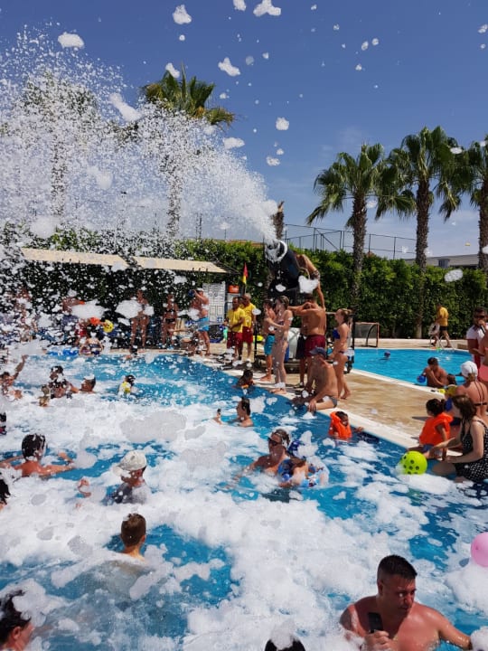 Pool Hane Family Resort