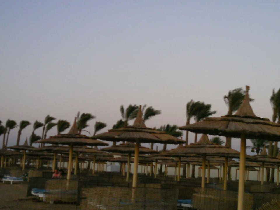 Unsauber, harter Boden, voller Steine und Müll  Pickalbatros Alf Leila Wa Leila Resort - Neverland Hurghada