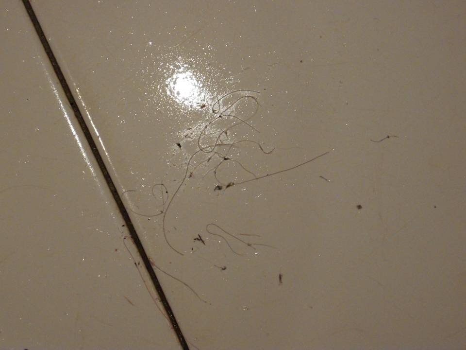 Unsere ? Hotel Nesrine