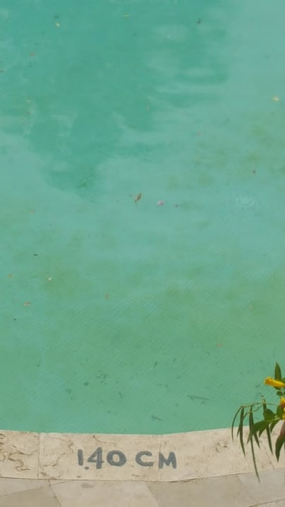 Zimmer Ghazala Gardens