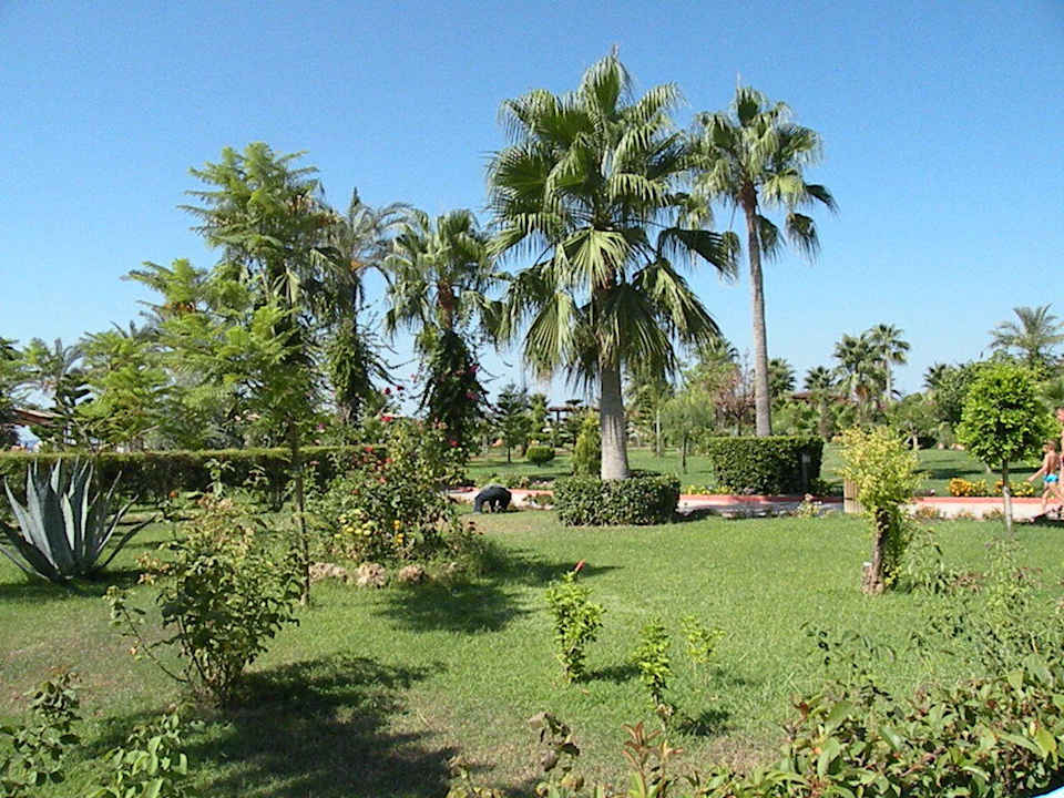 Ogrod Saphir Resort & Spa