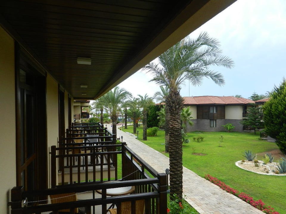 Blick vom Balkon TUI BLUE Palm Garden