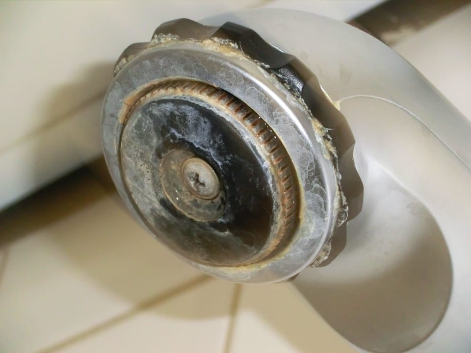 Der verkalkte Duschkopf d. Komfortzimmers Hotel De Ruyter