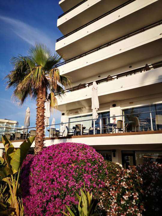 Gartenanlage allsun Hotel Bahia del Este