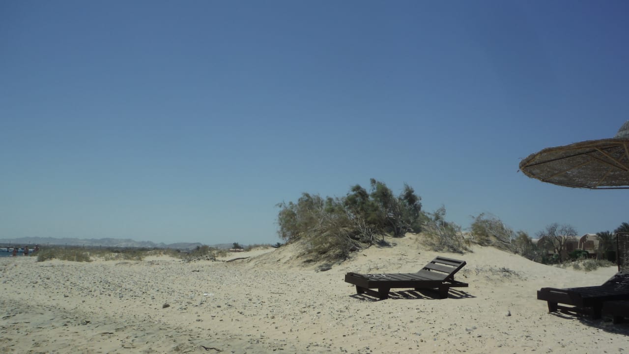 Spaziergang Shams Alam Beach Resort