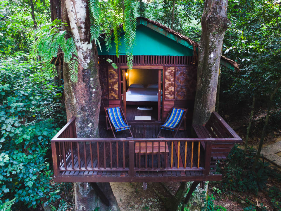 Zimmer Our Jungle House