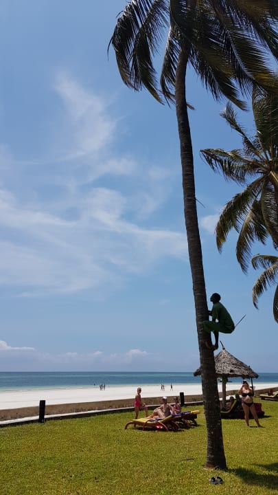 Strand Neptune Paradise Beach Resort & Spa