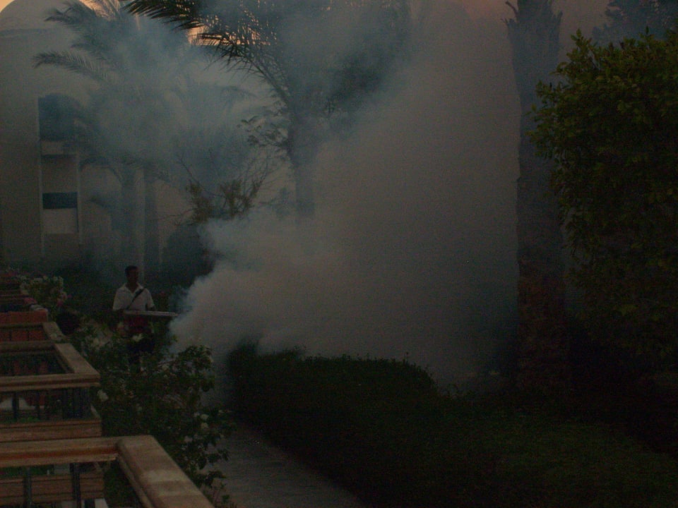 Insektenvernichter The Grand Hotel Hurghada