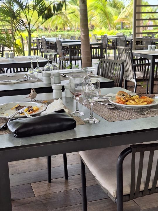 Gastro Hotel Riu Palace Santa Maria