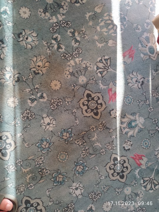 Zimmer Royal Taj Mahal Hotel