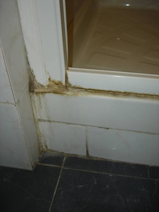 Eingang zur Dusche, Zimmer 101 Hotel Casmona