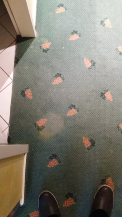 Zimmer 115 Best Western Wein- & Parkhotel Nierstein