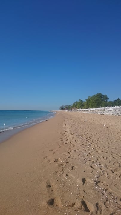 Strand GRIFID Vistamar