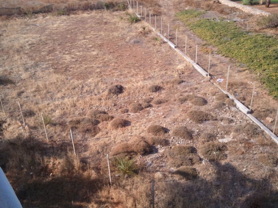 View from the balcony Theodosis Apartments