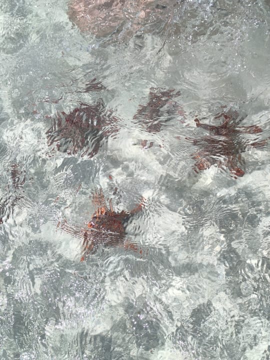 Strand Hotel Riu Jambo