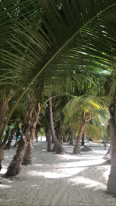 Strand Catalonia Punta Cana - All Inclusive