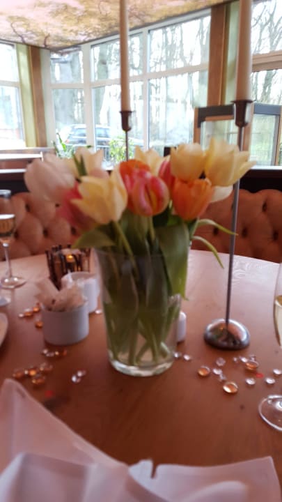 Geburtstagstisch war spitze Trihotel Rostock