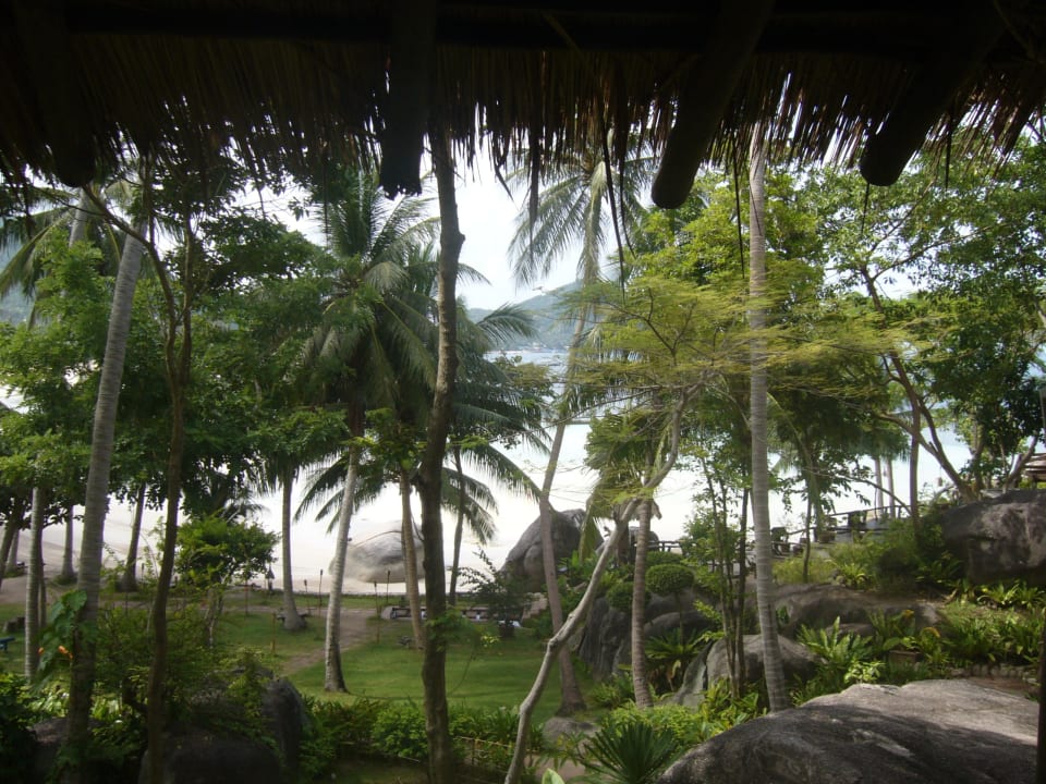 Blick vom Bungalow 11 Koh Tao Cabana