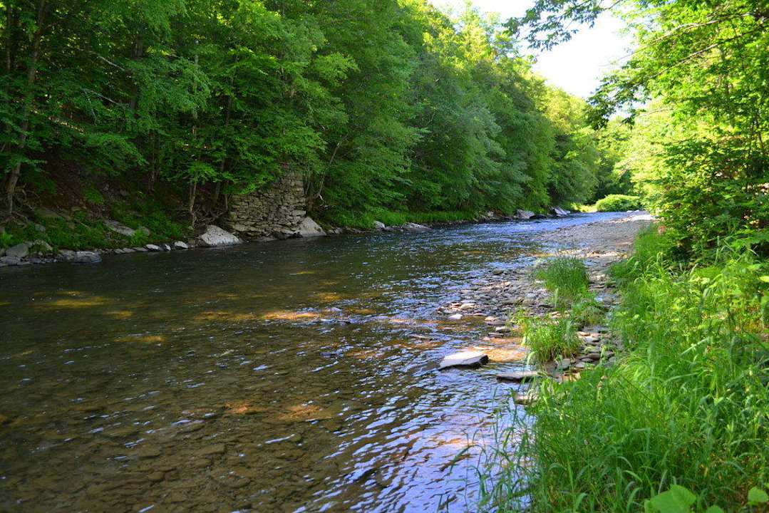 Umgebung Roscoe Motel