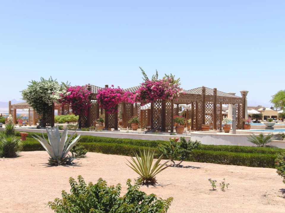 Überdachte Liegenplätze Pool Hotel Sheraton Soma Bay Resort