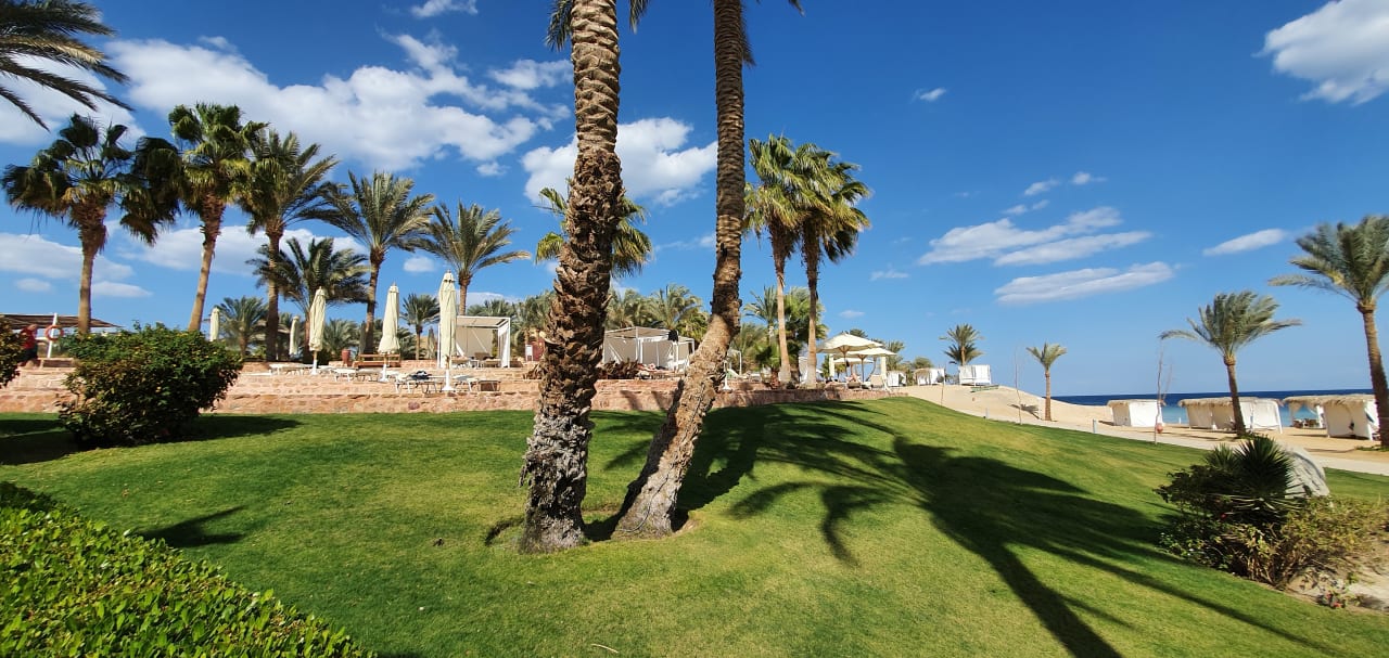 Gartenanlage Steigenberger Coraya Beach - Adults only