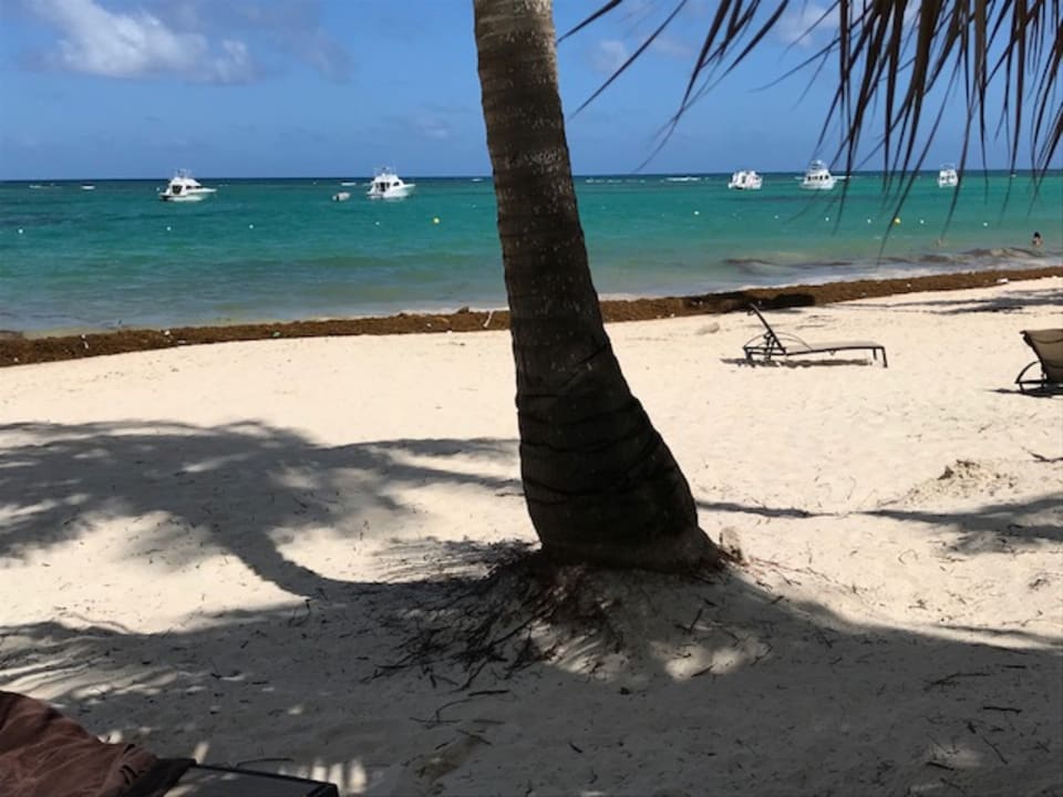 Strand TRS Turquesa Hotel - Adults only