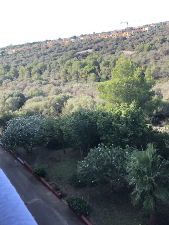 Ausblick Hotel Club Cala Romani