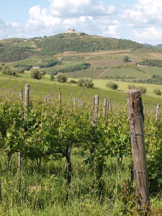 Landschaft Agriturismo Podere del Vescovo
