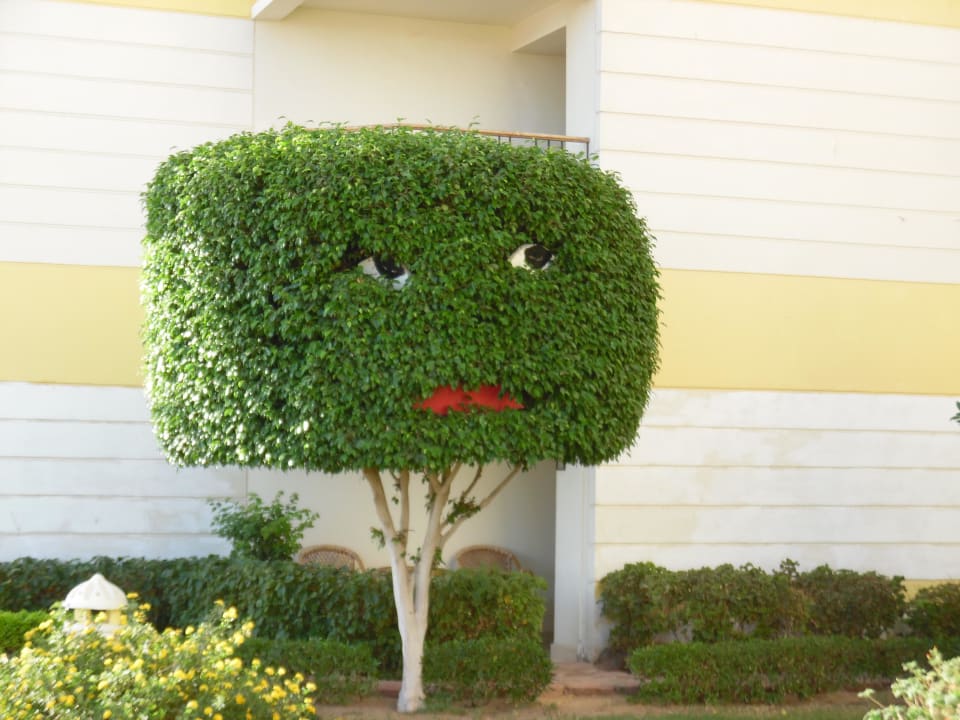 Bush SUNRISE Holidays Resort (Adults Only)