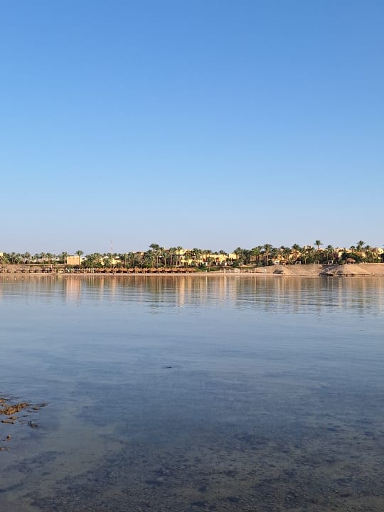 Strand Jaz Dar EL Madina