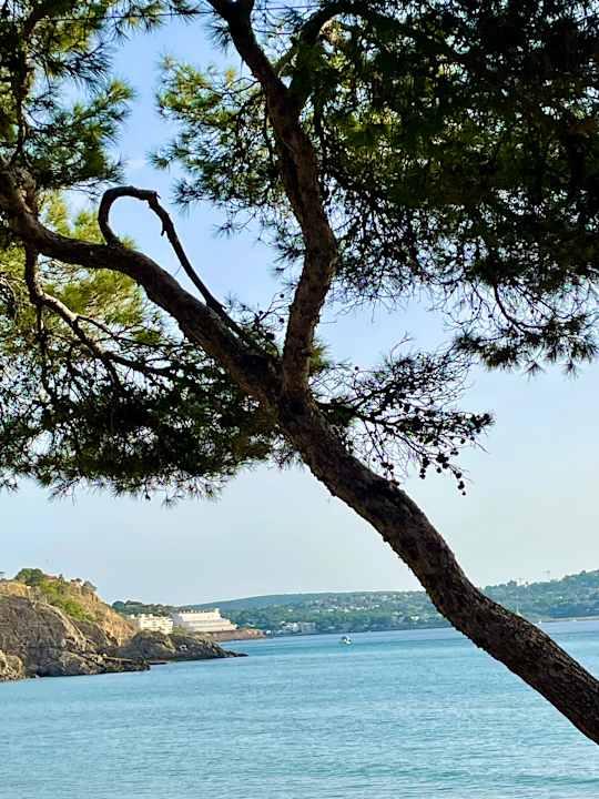 Sonstiges allsun Hotel Bella Paguera