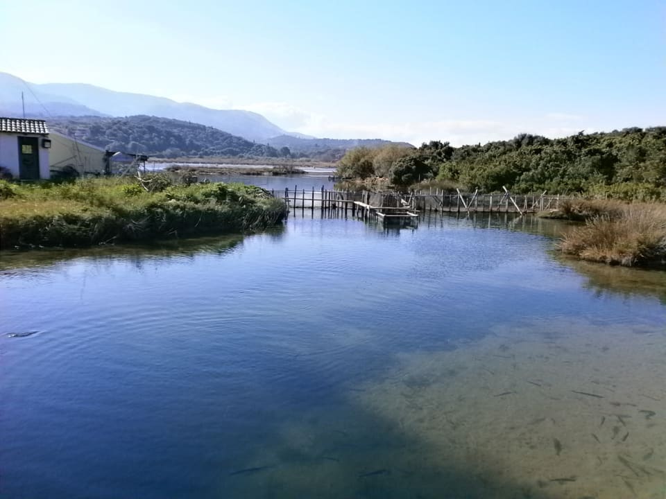Strand Ferienhaus Nora - zwei schöne Doppelhaushälfte