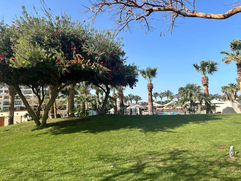 Gartenanlage Steigenberger ALDAU Beach Hotel