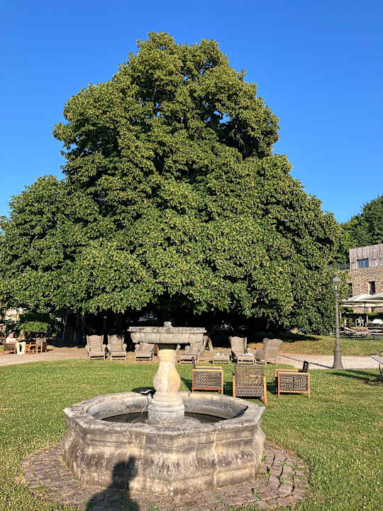 Gartenanlage BollAnts Spa im Park