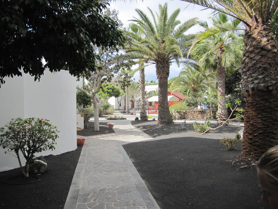 Gartenanlage allsun App.-Hotel Albatros