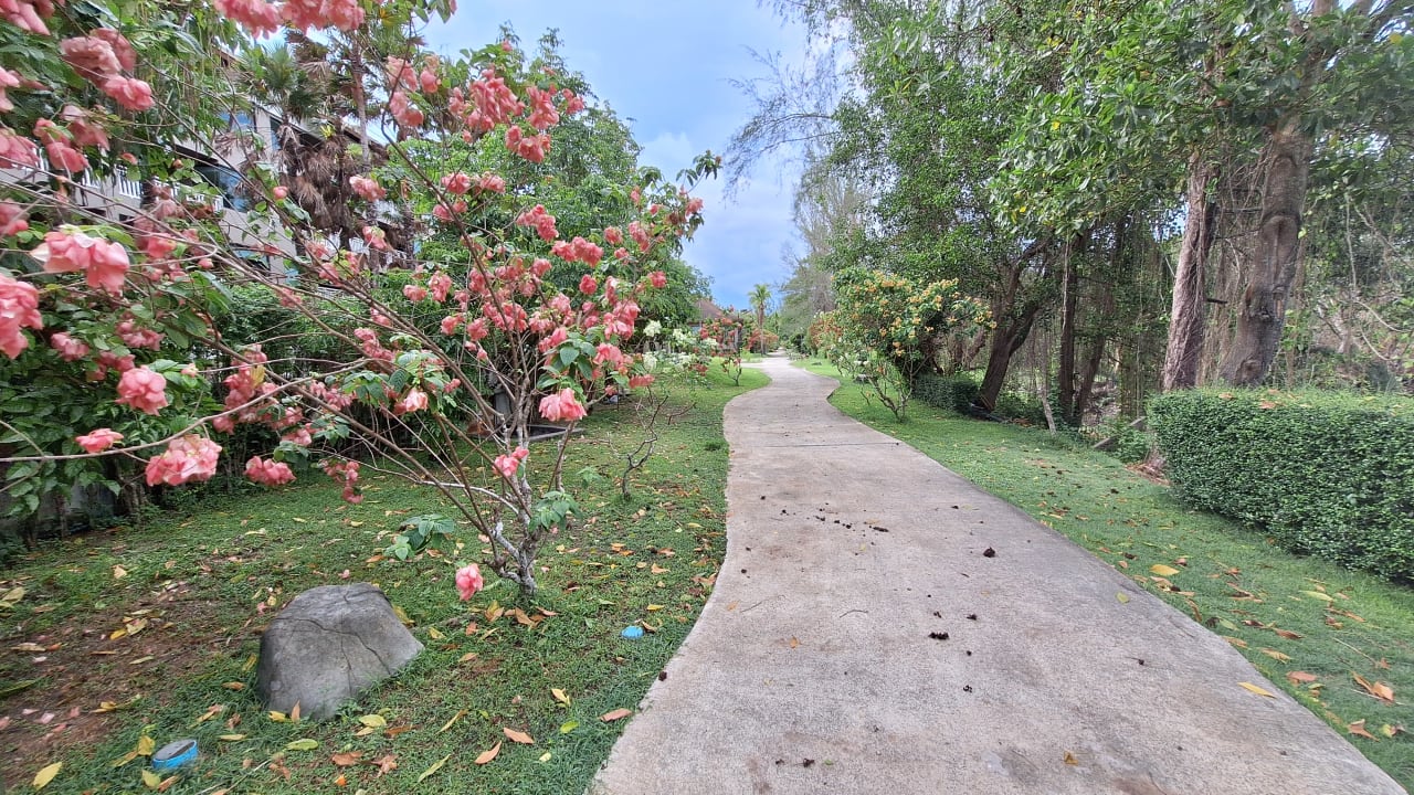 Gartenanlage Maikhao Palm Beach Resort