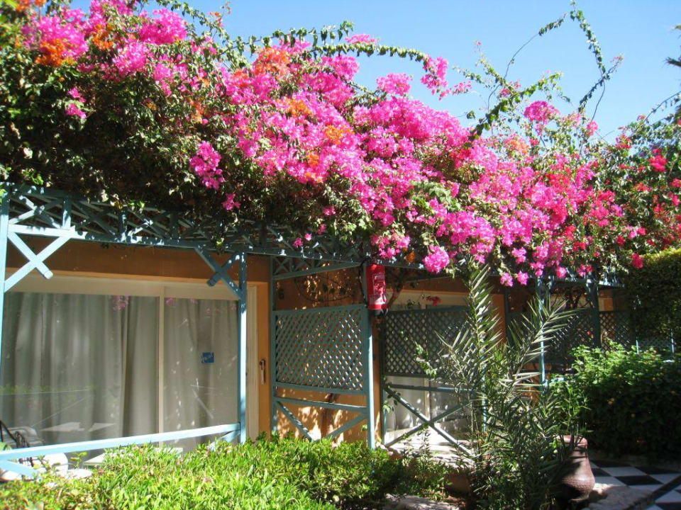 Bungalows... Giftun Azur Resort