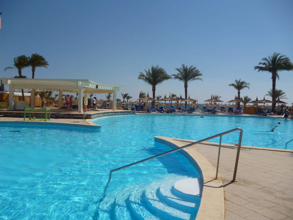 Beheitzter Pool Beach Albatros Resort