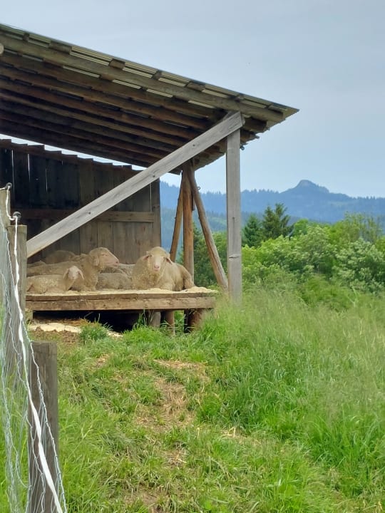 Sport & Freizeit Posthotel Achenkirch