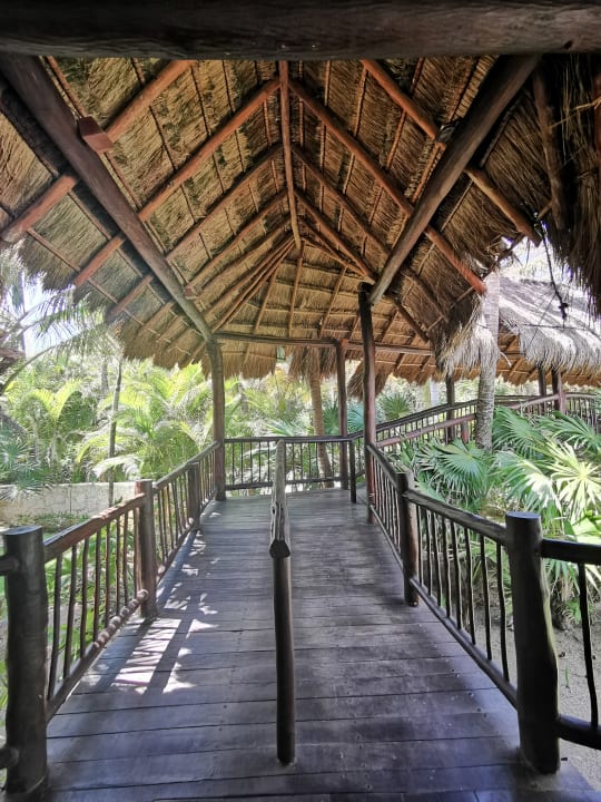 Sonstiges Akumal Bay Beach & Wellness Resort