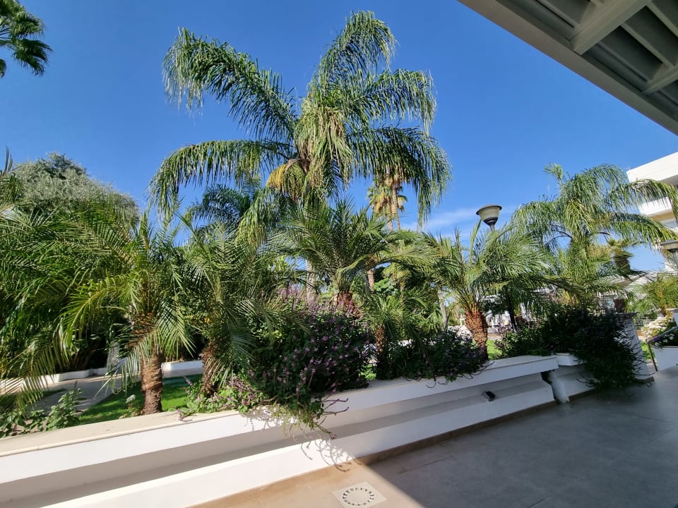 Gartenanlage Hilton Nicosia