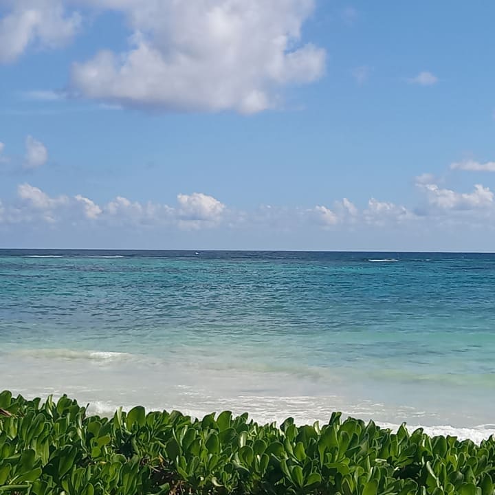 Strand Akumal Bay Beach & Wellness Resort