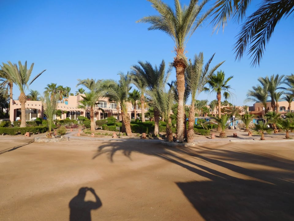 Gartenanlage am Strand Club Paradisio El Gouna, Red Sea