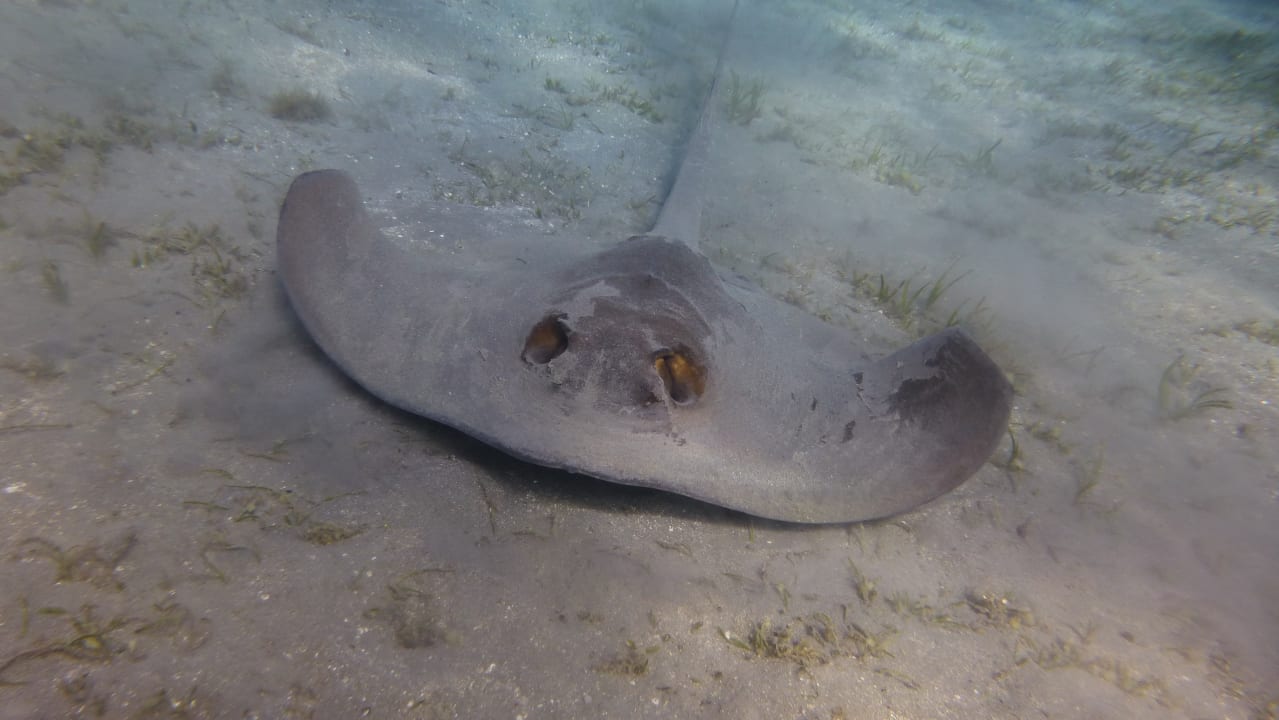 Strand Shams Alam Beach Resort