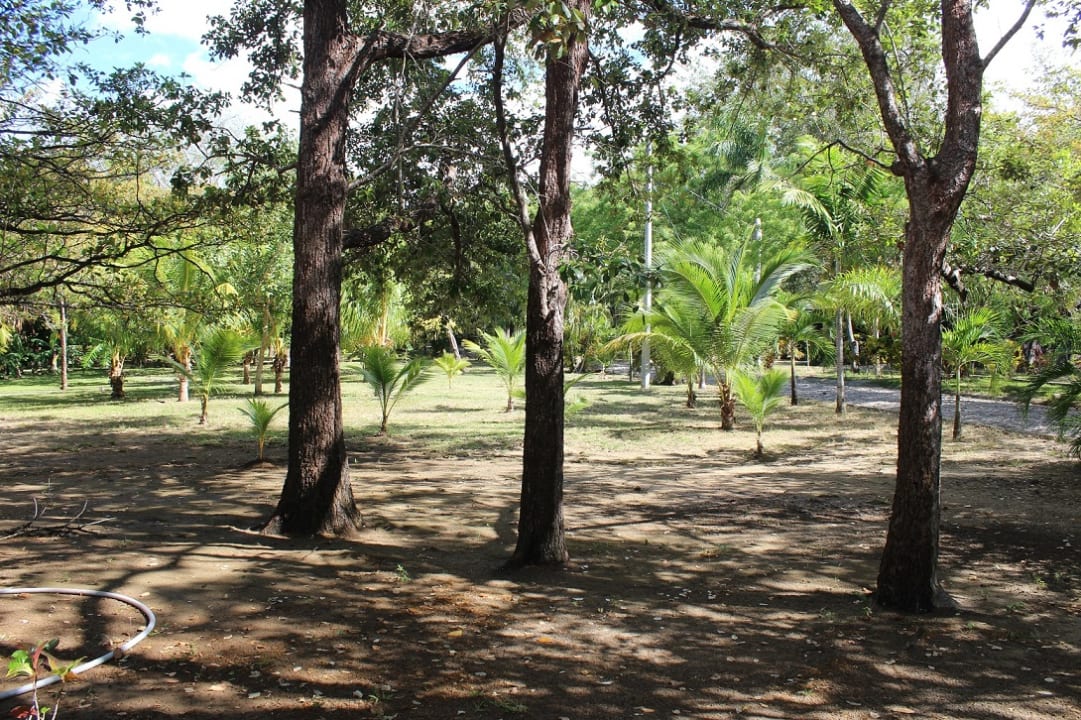Gartenanlage Hotel Canon de la Vieja Lodge