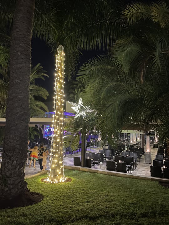 Gastro Hotel Riu Palace Oasis